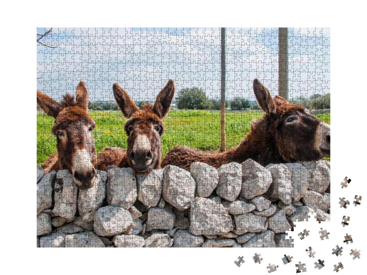Puzzle 1000 Teile „Niedliche Esel blicken durch eine Steinmauer, Modica“