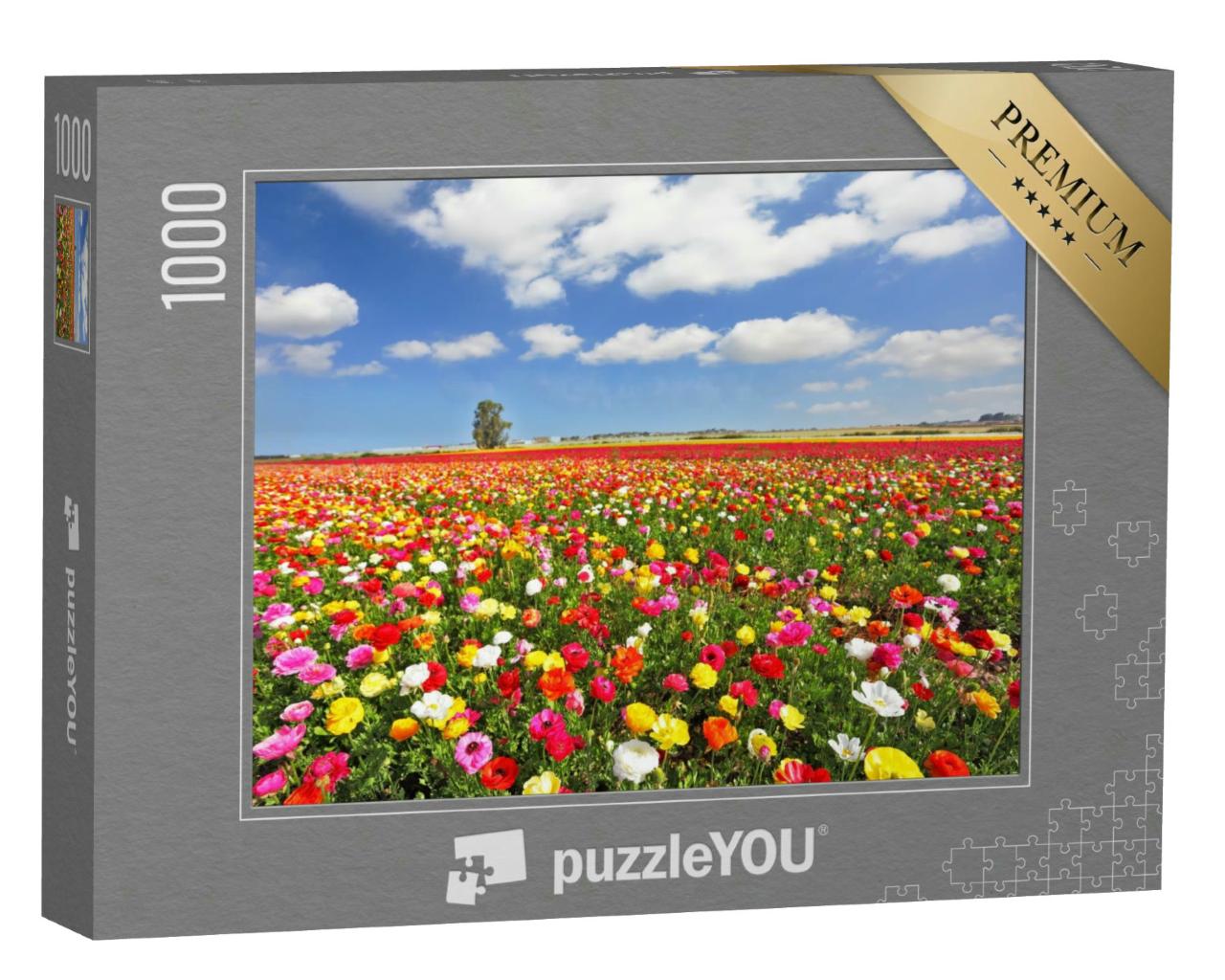 Puzzle 1000 Teile „Die prächtigen Garten-Hahnenfußgewächse: Butterblumen“