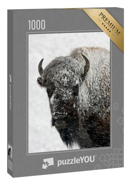 Puzzle 1000 Teile „Bison bei Schnee, Yellowstone-Nationalpark“