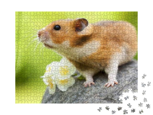 Puzzle 1000 Teile „Niedlicher Hamster auf einem Stein“