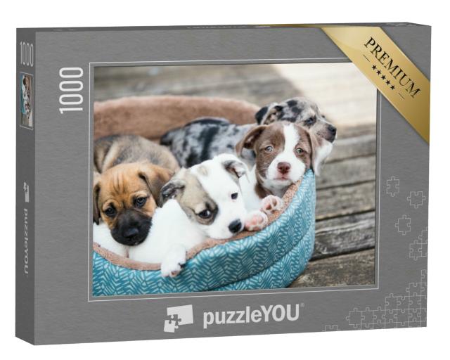 Puzzle 1000 Teile „Wurf von Terrier-Mix-Welpen, die im Hundebett draußen auf der Holzterrasse entspannen“
