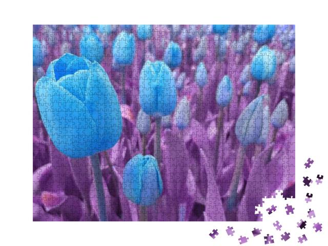 Puzzle 1000 Teile „Strahlend blaue Tulpen vor violettem Hintergrund, Tulpenfeld“