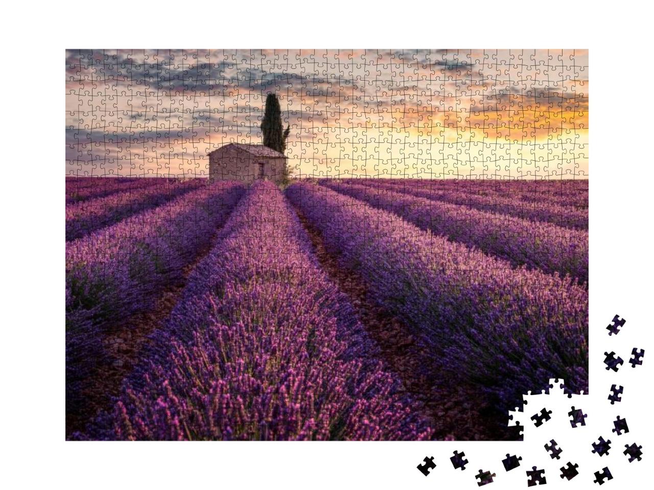 Puzzle 1000 Teile „Frankreich, Provence: Ein kleines Haus inmitten von Lavendelfeldern“