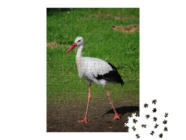 Puzzle 1000 Teile „Kleiner Storch stolziert durch den Garten“