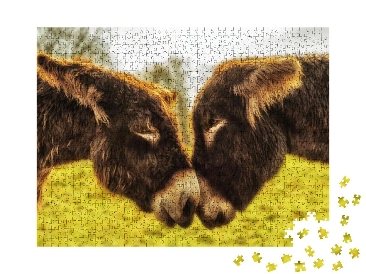 Puzzle 1000 Teile „Eselspaar schaut sich in die Augen“