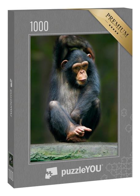 Puzzle 1000 Teile „Schimpanse: ein Menschenaffe aus Afrika“