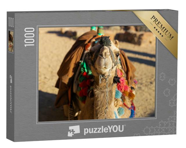 Puzzle 1000 Teile „Dromedar Kamel vor dem Sand der heißen Wüste, Ägypten, Sinai“