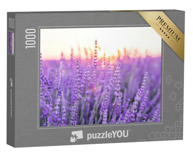 Puzzle 1000 Teile „Sonnenuntergang über einem violetten Lavendelfeld, Provence, Frankreich“