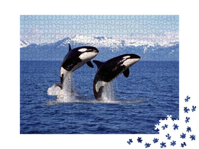 Puzzle 1000 Teile „Zwei Killerwale springen aus dem Wasser vor einer Berglandschaft“