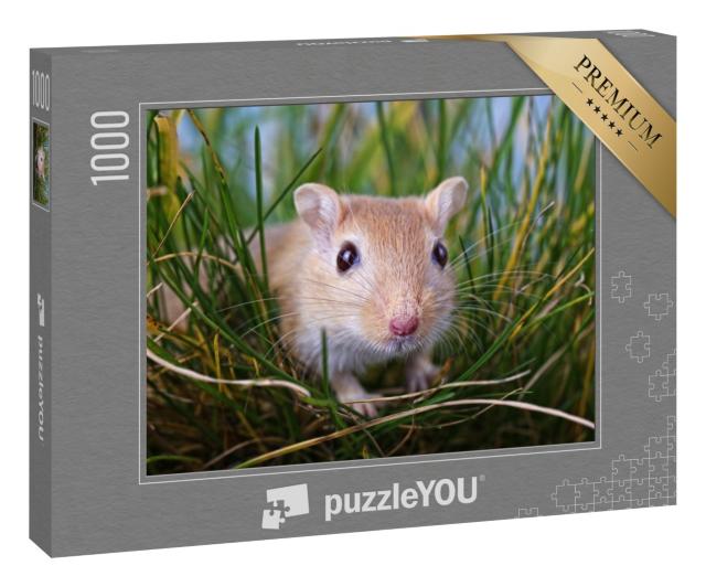 Puzzle 1000 Teile „Kleine Rennmaus im Gras“