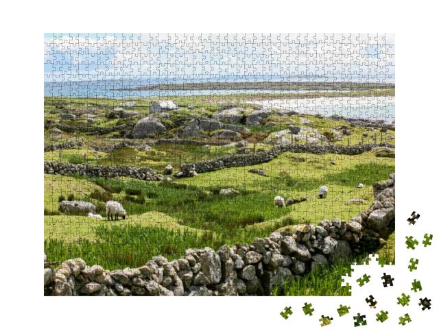 Puzzle 1000 Teile „Irische Steinmauern an der Küste“