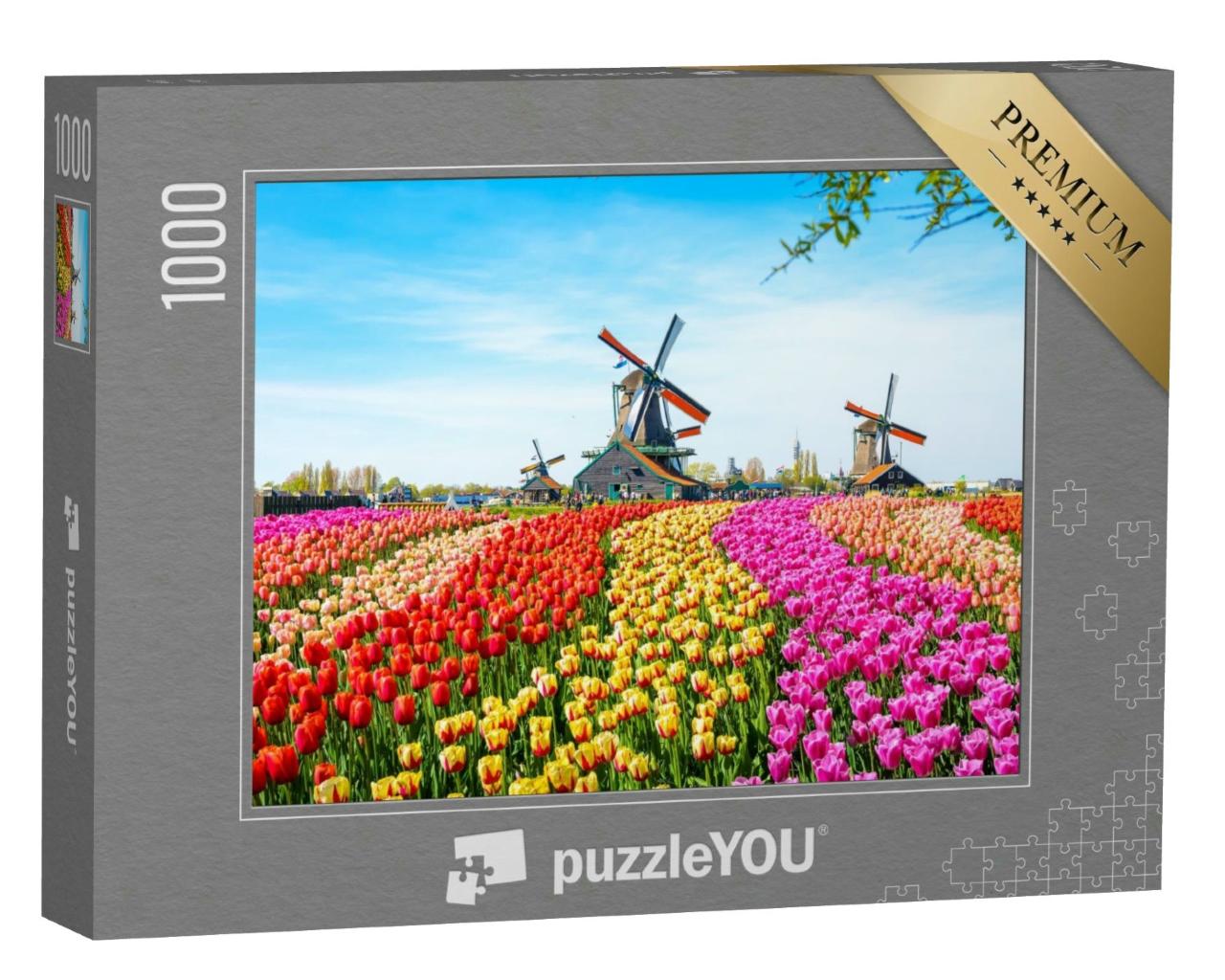 Puzzle 1000 Teile „Landschaft mit Tulpen, Windmühlen und Häusern in den Niederlanden“