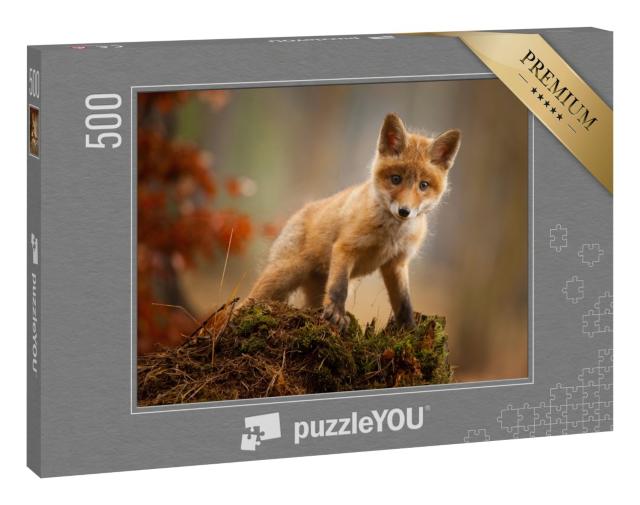Puzzle 500 Teile „Ein junger Fuchs“