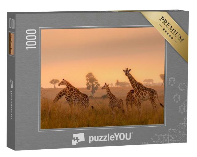 Puzzle 1000 Teile „Rothschild-Giraffen im Sonnenaufgang, Murchison Falls National Park, Uganda“