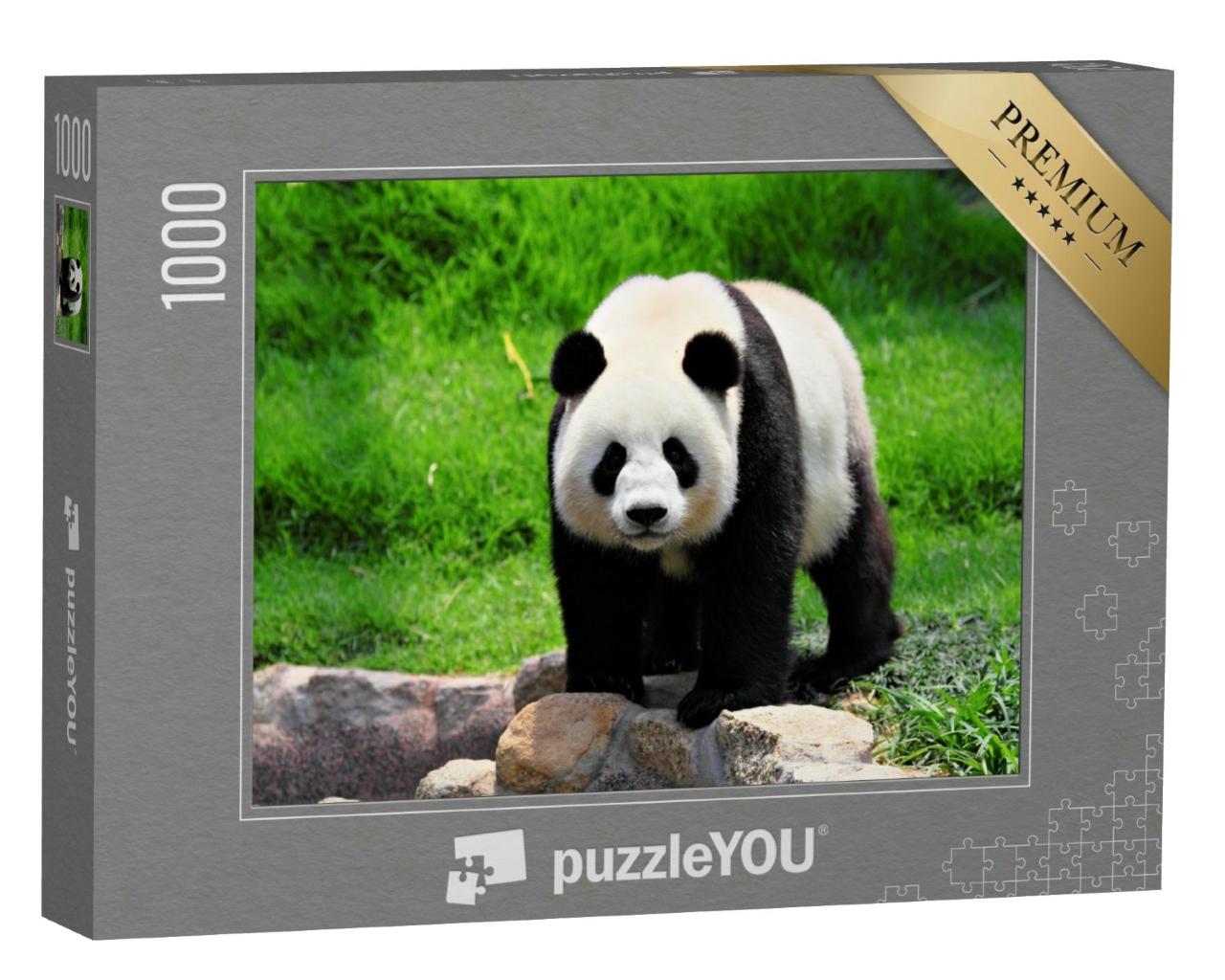 Puzzle 1000 Teile „Panda“