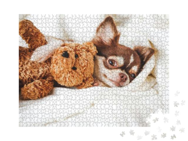 Puzzle 1000 Teile „Chihuahua-Welpe schlafend mit Teddybär auf dem weißen Bett“