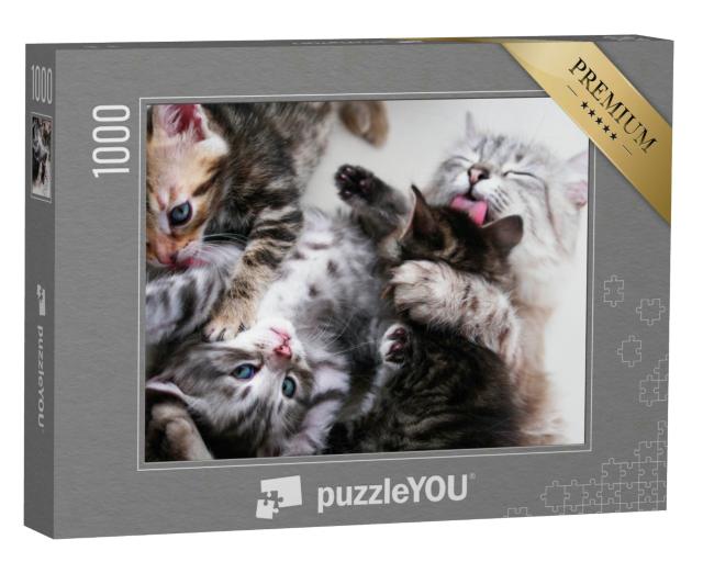 Puzzle 1000 Teile „Mutterkatze und Kätzchen“