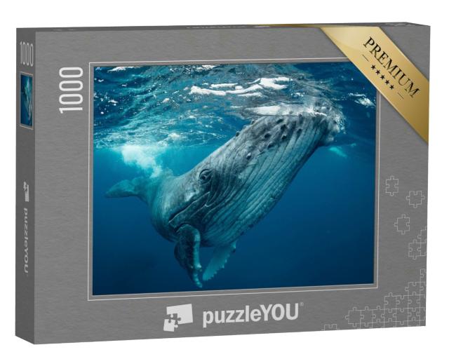 Puzzle 1000 Teile „Wale, Tonga“
