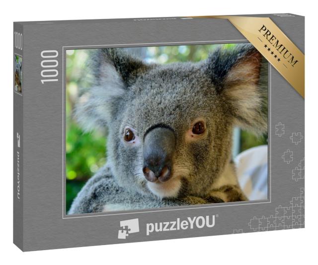 Puzzle 1000 Teile „Wunderschönes Porträt eines Koalas“