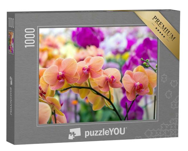 Puzzle 1000 Teile „Schönheit der Natur: Orchideen“