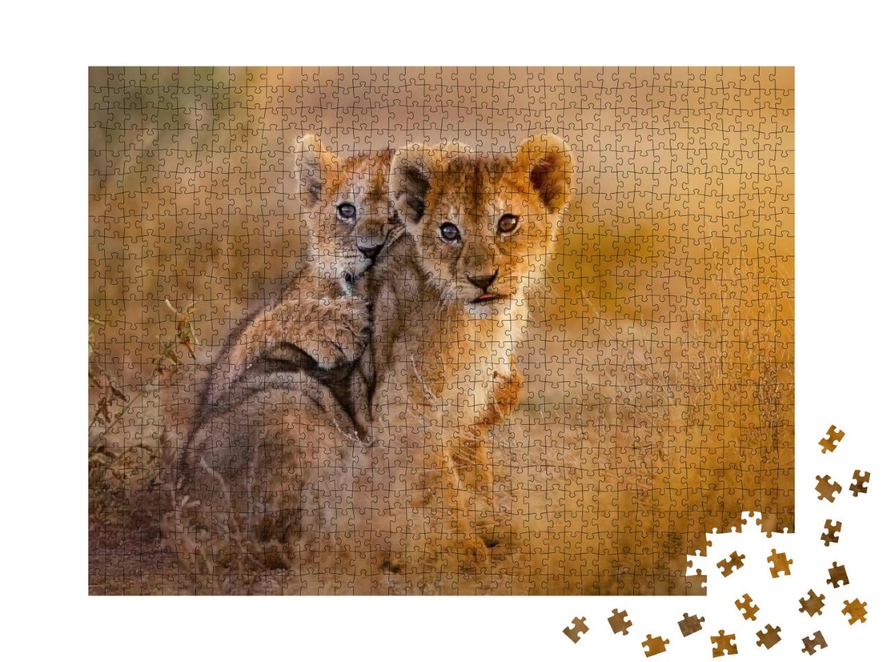 Puzzle 1000 Teile „Löwenjungen spielen“