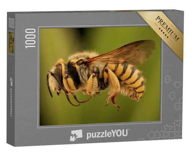 Puzzle 1000 Teile „Makroaufnahme: fliegende Biene von der Seite“