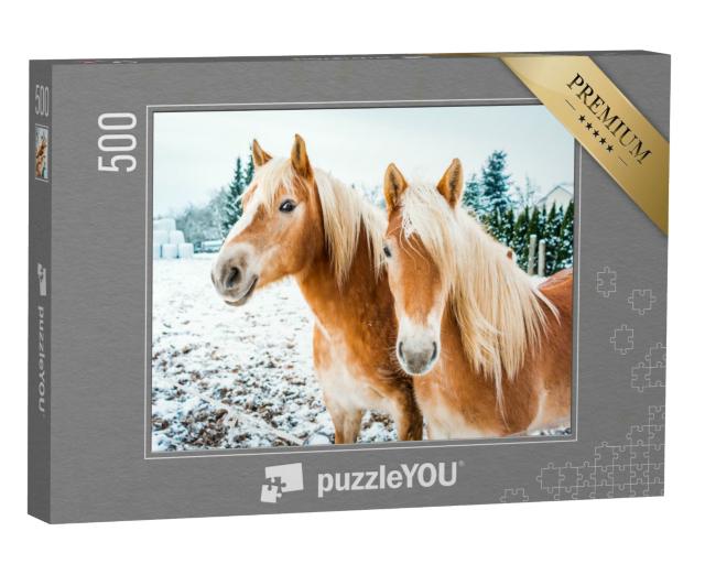 Puzzle 500 Teile „Haflingerpferde auf einer schneebedeckten Wiese“