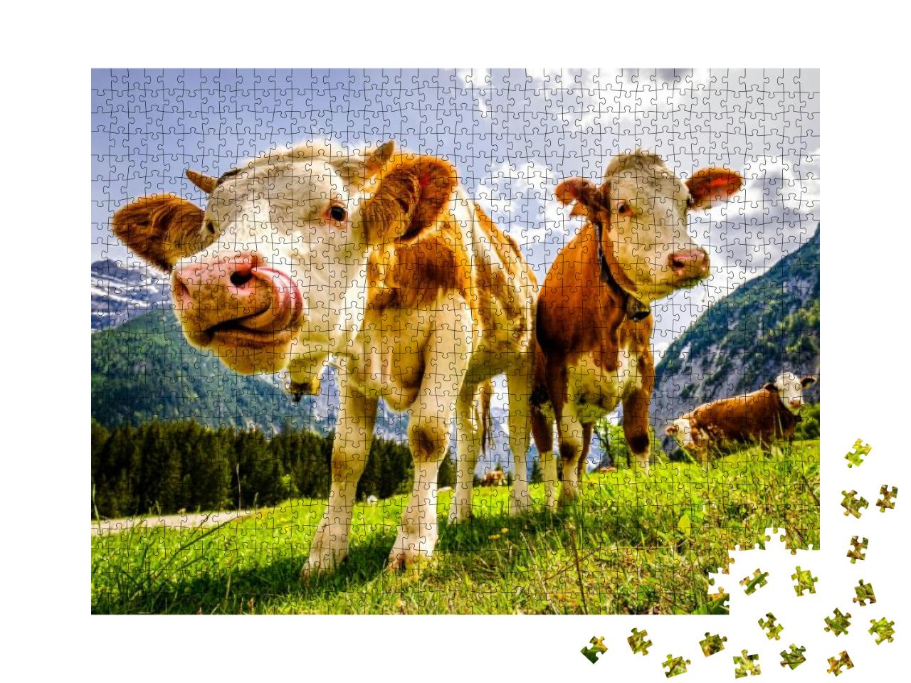 Puzzle 1000 Teile „Neugierige Kühe auf der Eng Alm in Österreich“