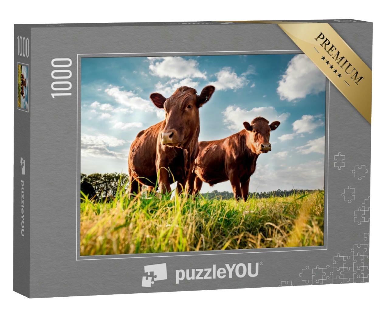 Puzzle 1000 Teile „Beefmaster-Rinder auf einer grünen Wiese“