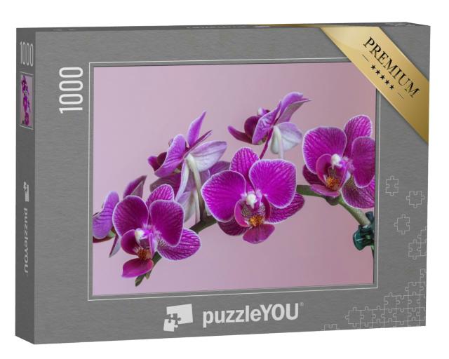 Puzzle 1000 Teile „Mottenorchidee: Wunderschöne lila Orchidee“