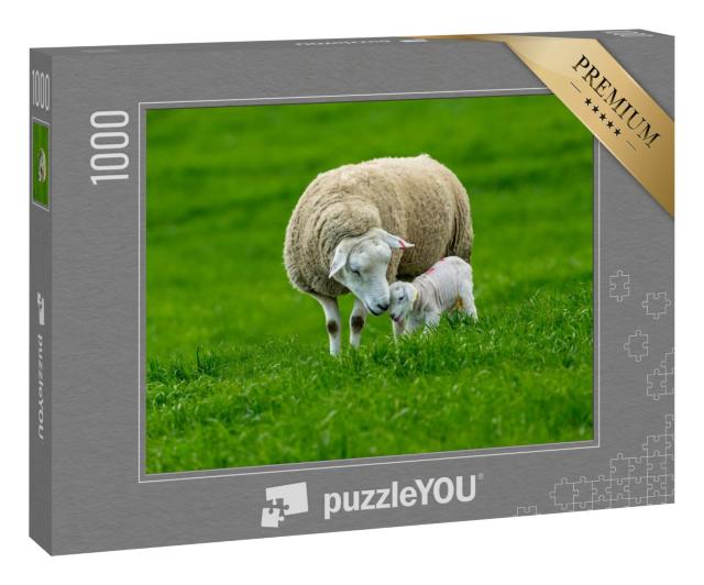 Puzzle 1000 Teile „Ein Schaf mit seinem neugeborenen Lamm, ein zärtlicher Moment“