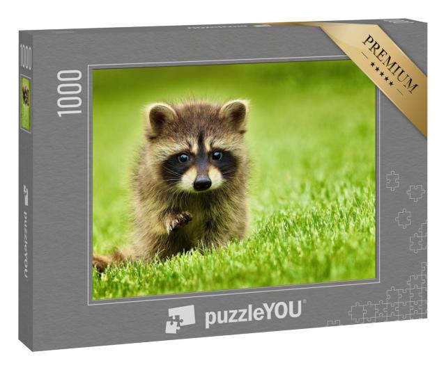 Puzzle 1000 Teile „Kleiner Waschbär im Gras“
