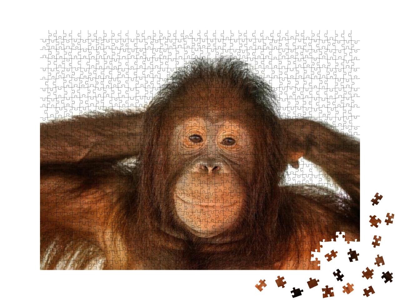 Puzzle 1000 Teile „Niedlicher Orang-Utan“