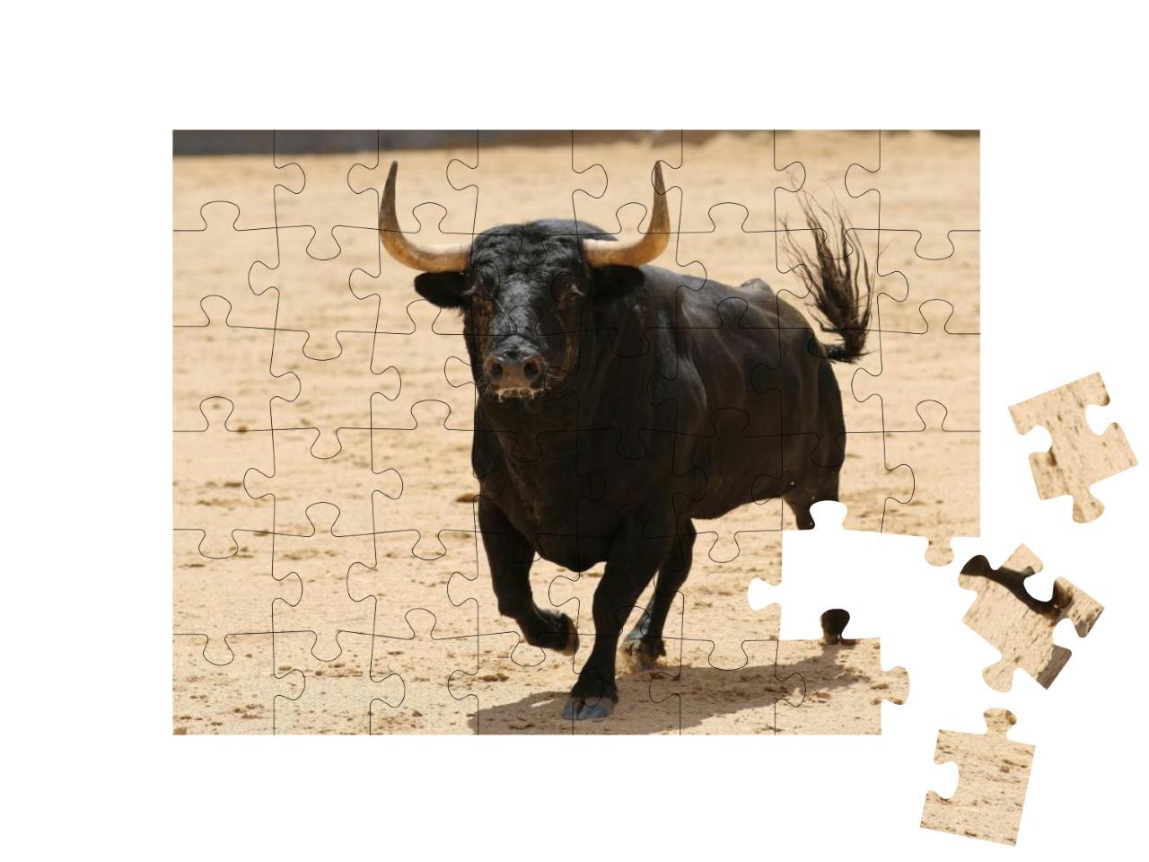 Puzzle 48 Teile „Schwarzer spanischer Stier in der Stierkampfarena“