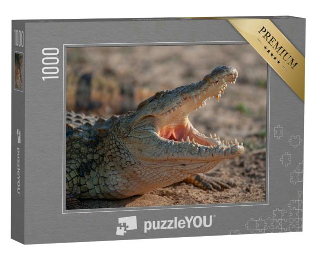 Puzzle 1000 Teile „Ein Nilkrokodil, gesehen auf einer Safari in Südafrika“