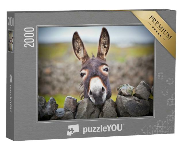 Puzzle 2000 Teile „Ein neugieriger Esel“