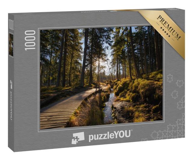 Puzzle 1000 Teile „Herbstwald am Brocken im Harz“