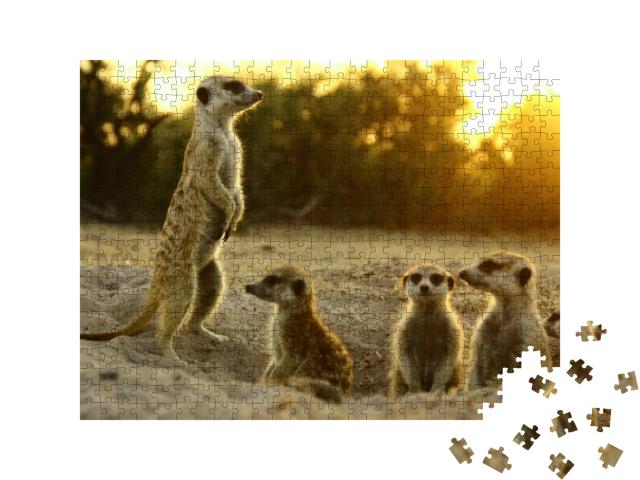 Puzzle 500 Teile „Erdmännchen in ihrem natürlichen Lebensraum“