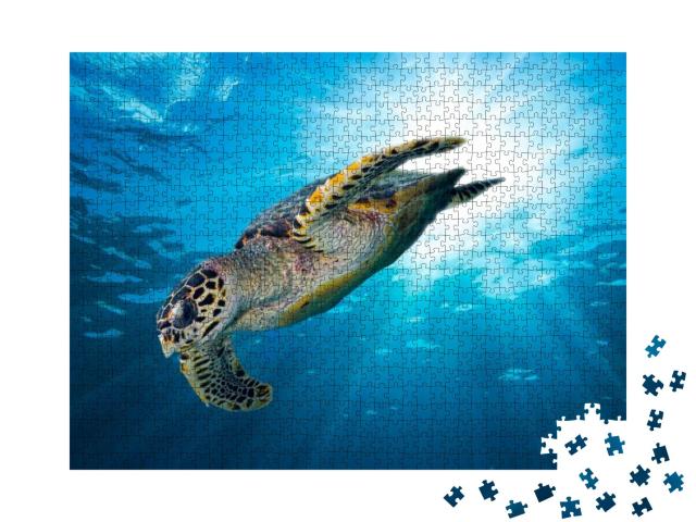 Puzzle 1000 Teile „Falkenschnabel Meeresschildkröte im tiefblauen Ozean“