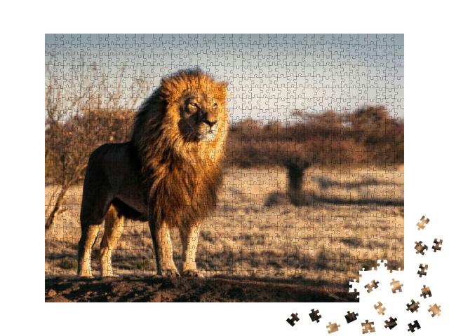 Puzzle 1000 Teile „Einzelner Löwe mit königlichem Aussehen“