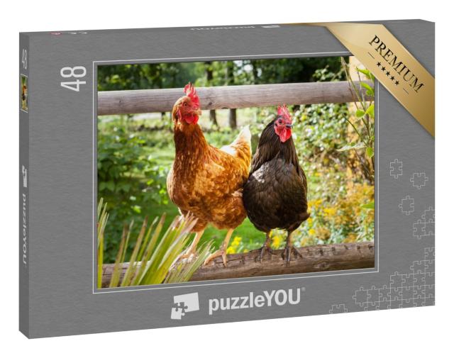 Puzzle 48 Teile „Glückliche Hühner auf einem Holzzaun im Freien“
