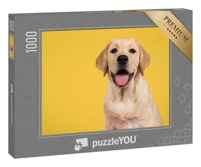 Puzzle 1000 Teile „Porträt eines goldenen Labrador-Retrievers“