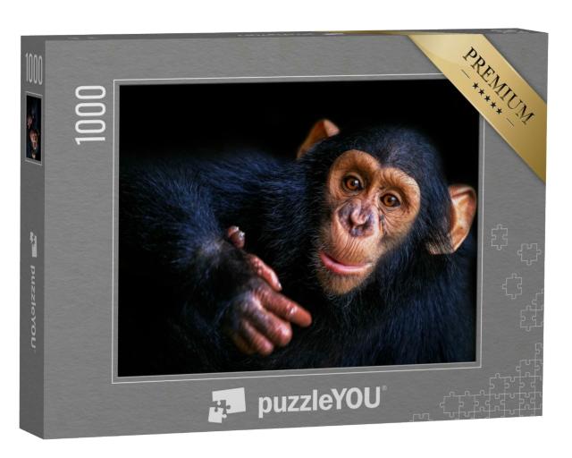 Puzzle 1000 Teile „Schimpanse“