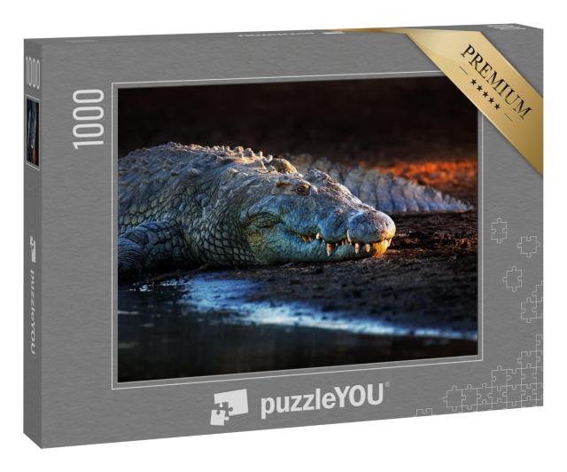 Puzzle 1000 Teile „Nilkrokodil im Krüger-Nationalpark, Südafrika“