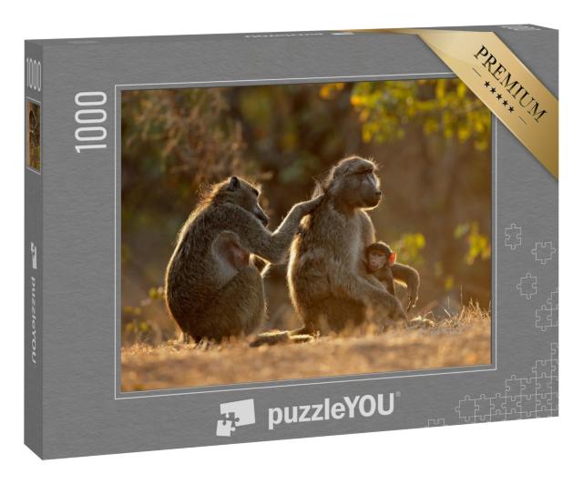 Puzzle 1000 Teile „Familienleben bei den Chacma-Pavianen, Kruger National Park, Südafrika“