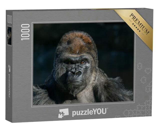 Puzzle 1000 Teile „Westlicher Flachlandgorilla mit starkem, wütendem Gesichtsausdruck“