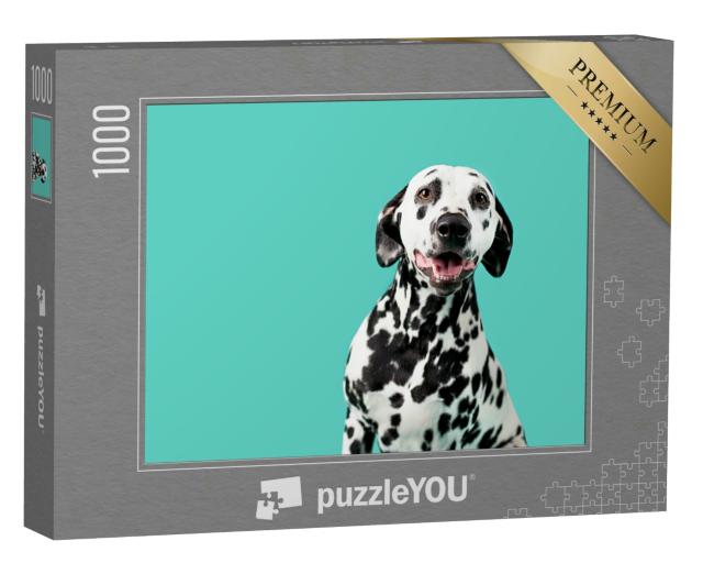 Puzzle 1000 Teile „Dalmatiner, schöner Hund vor farbigem Hintergrund“