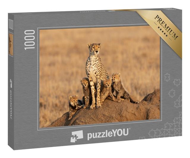 Puzzle 1000 Teile „Gepardenweibchen mit vier Jungtieren“