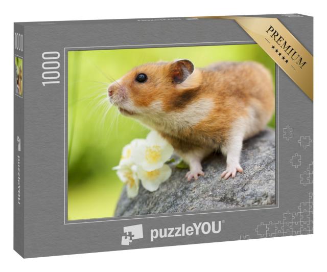 Puzzle 1000 Teile „Niedlicher Hamster auf einem Stein“