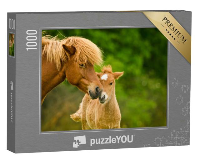 Puzzle 1000 Teile „Wunderschönes fuchsfarbenes Island-Fohlen und seine Mutter“